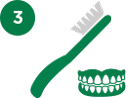 Brush denture with solution Brush denture with solution