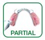 partials partials